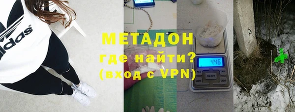 прущие грибы Коряжма