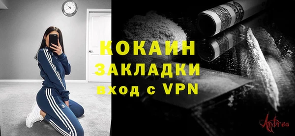 прущие грибы Коряжма