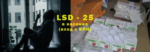 прущие грибы Коряжма