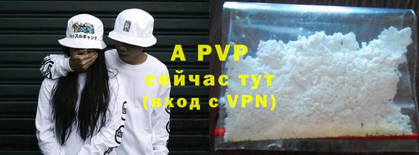 прущие грибы Коряжма