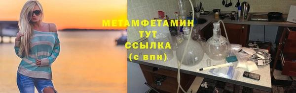 прущие грибы Коряжма