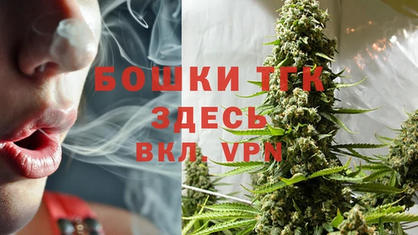мет Корсаков
