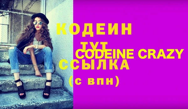 прущие грибы Коряжма
