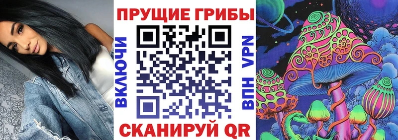 купить закладку  Нальчик  Галлюциногенные грибы Magic Shrooms 